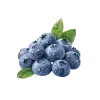 Blueberry