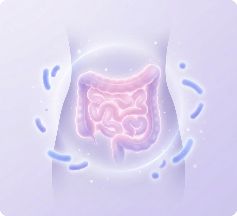 Balances the Gut (B420™)